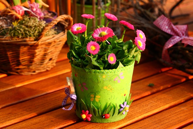 Spring 800240