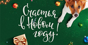 фото с новым годом